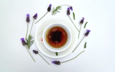Le choix de votre machine à thé pour assurer sa santé habituelle
